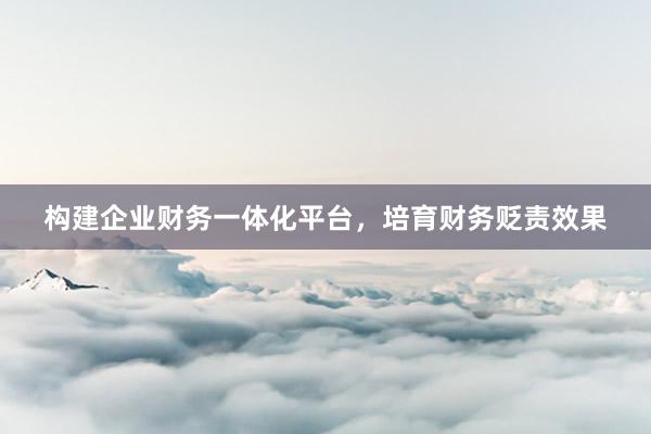 构建企业财务一体化平台，培育财务贬责效果